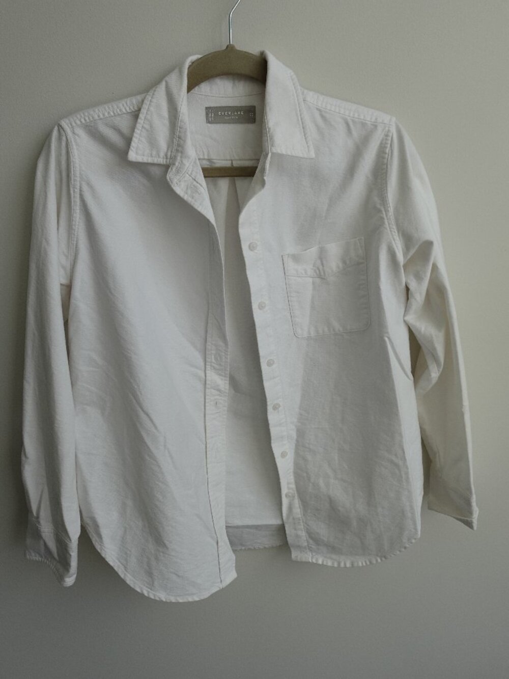Everlane The Must-Have Oxford Shirt